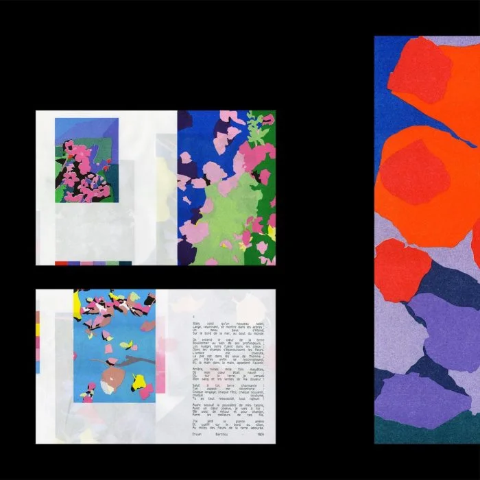 Éclôt <> Maël Le Briand <> Quintal éditions – Image 2
