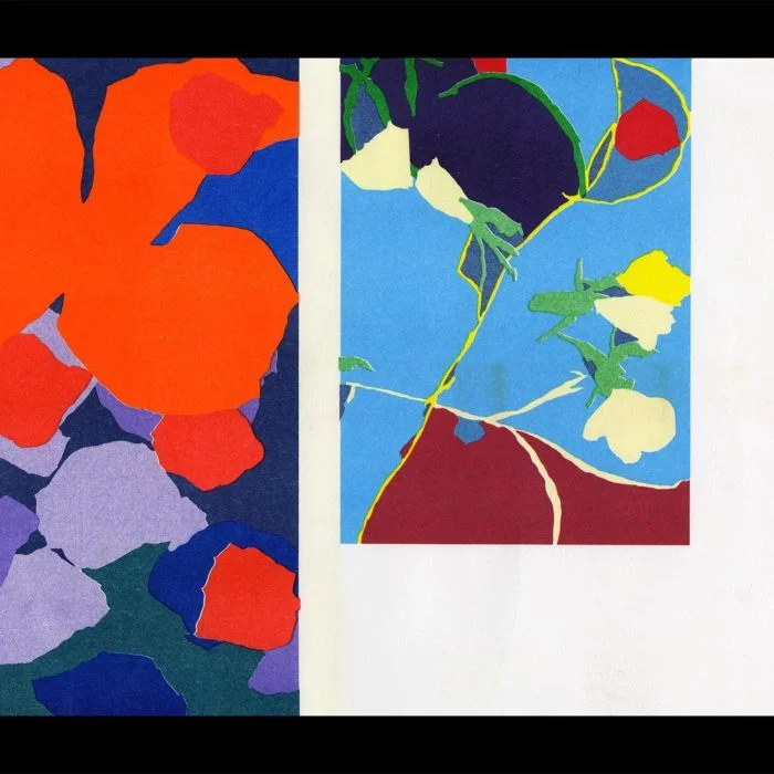 Éclôt <> Maël Le Briand <> Quintal éditions – Image 3