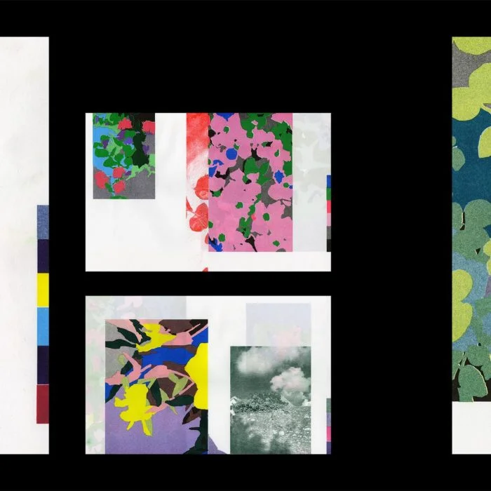 Éclôt <> Maël Le Briand <> Quintal éditions – Image 4