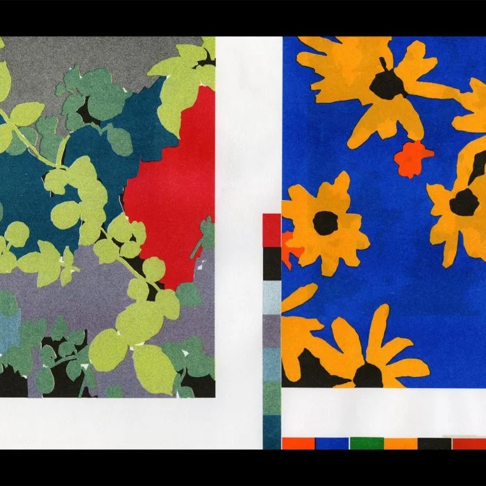 Éclôt <> Maël Le Briand <> Quintal éditions – Image 5