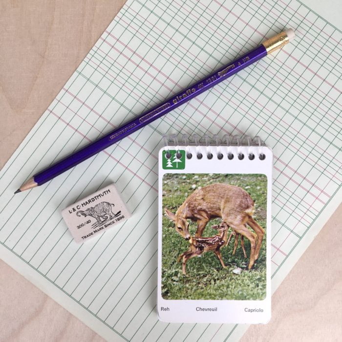 KIT des animaux – Image 3
