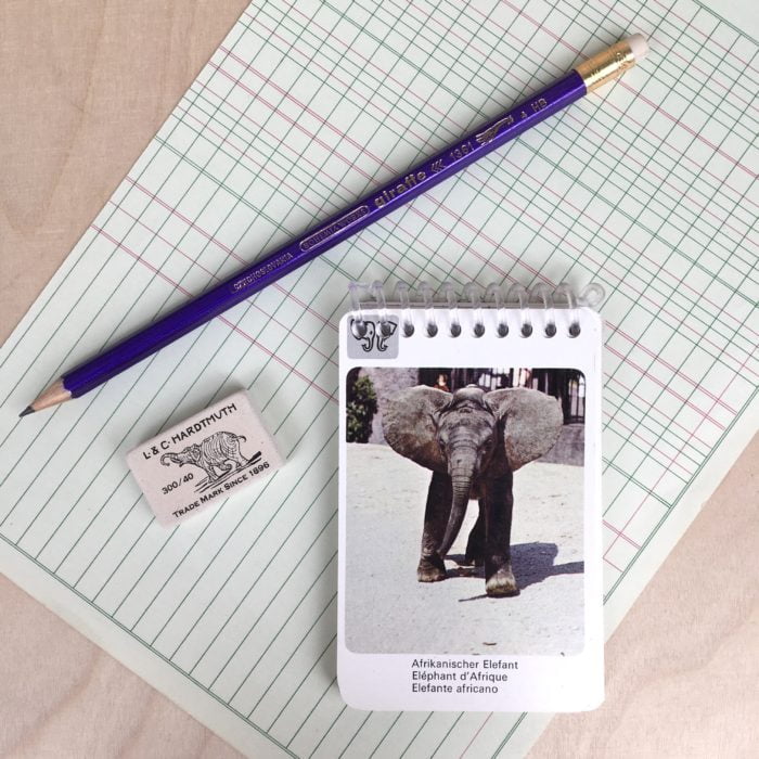 KIT des animaux – Image 6