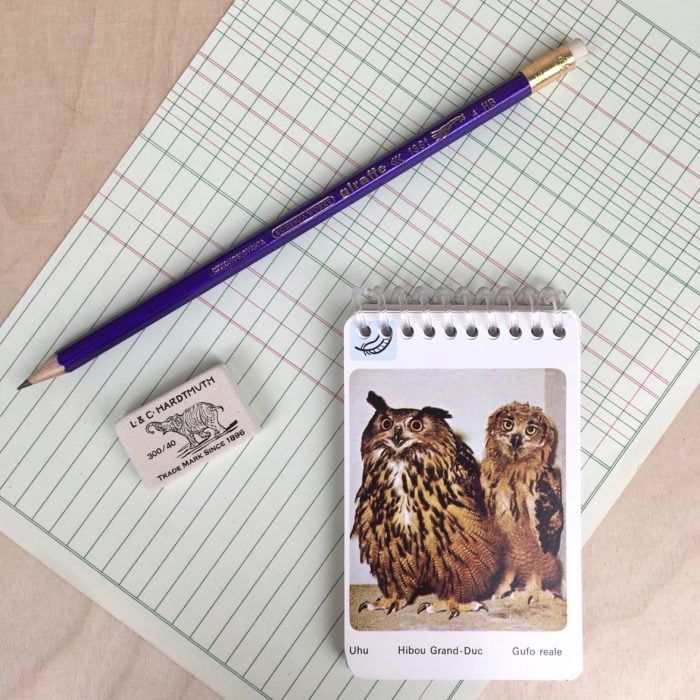 KIT des animaux – Image 7