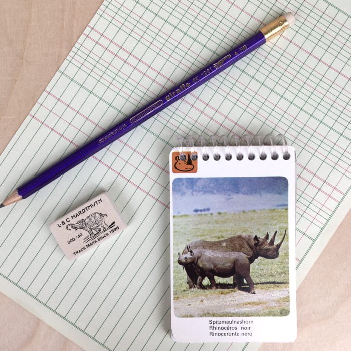 KIT des animaux – Image 11
