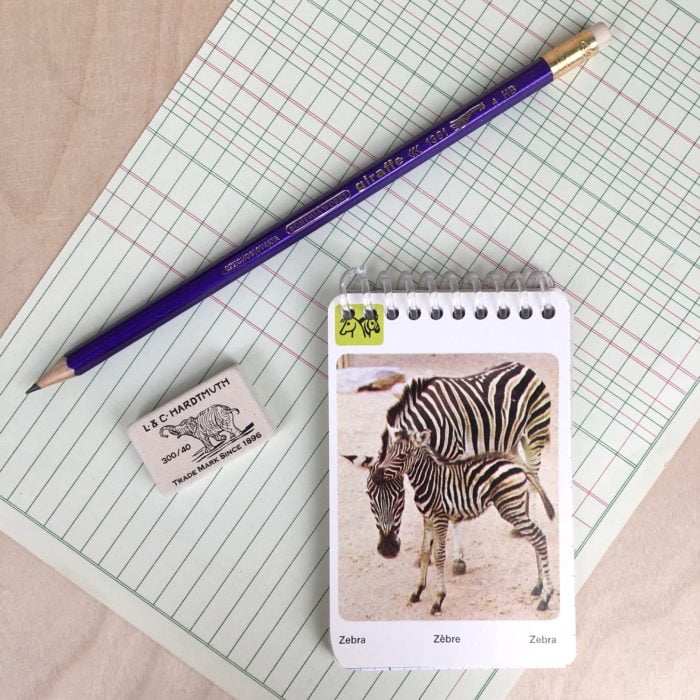 KIT des animaux – Image 13