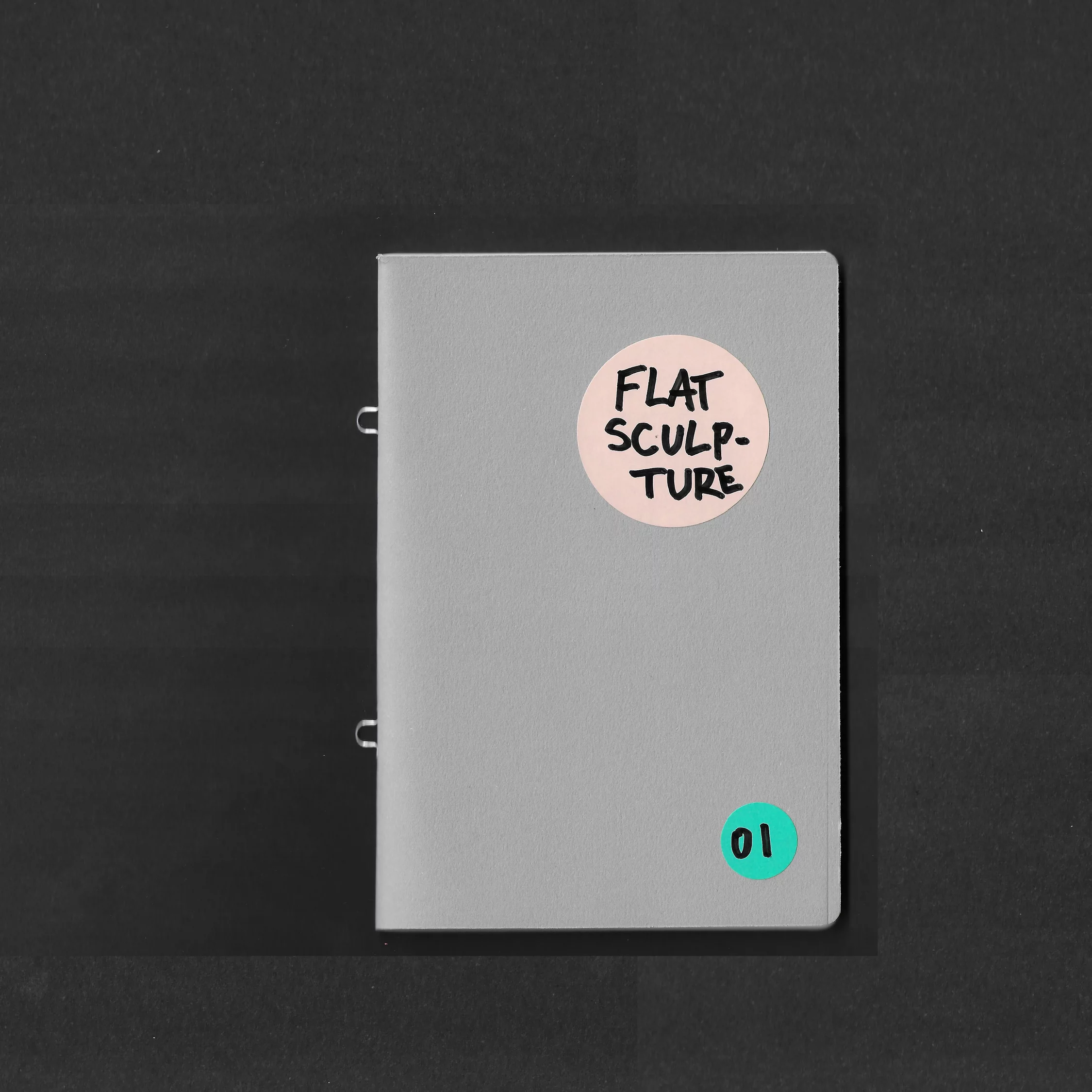 "Flat sculpture" - Nicolas Belayew – Image 9