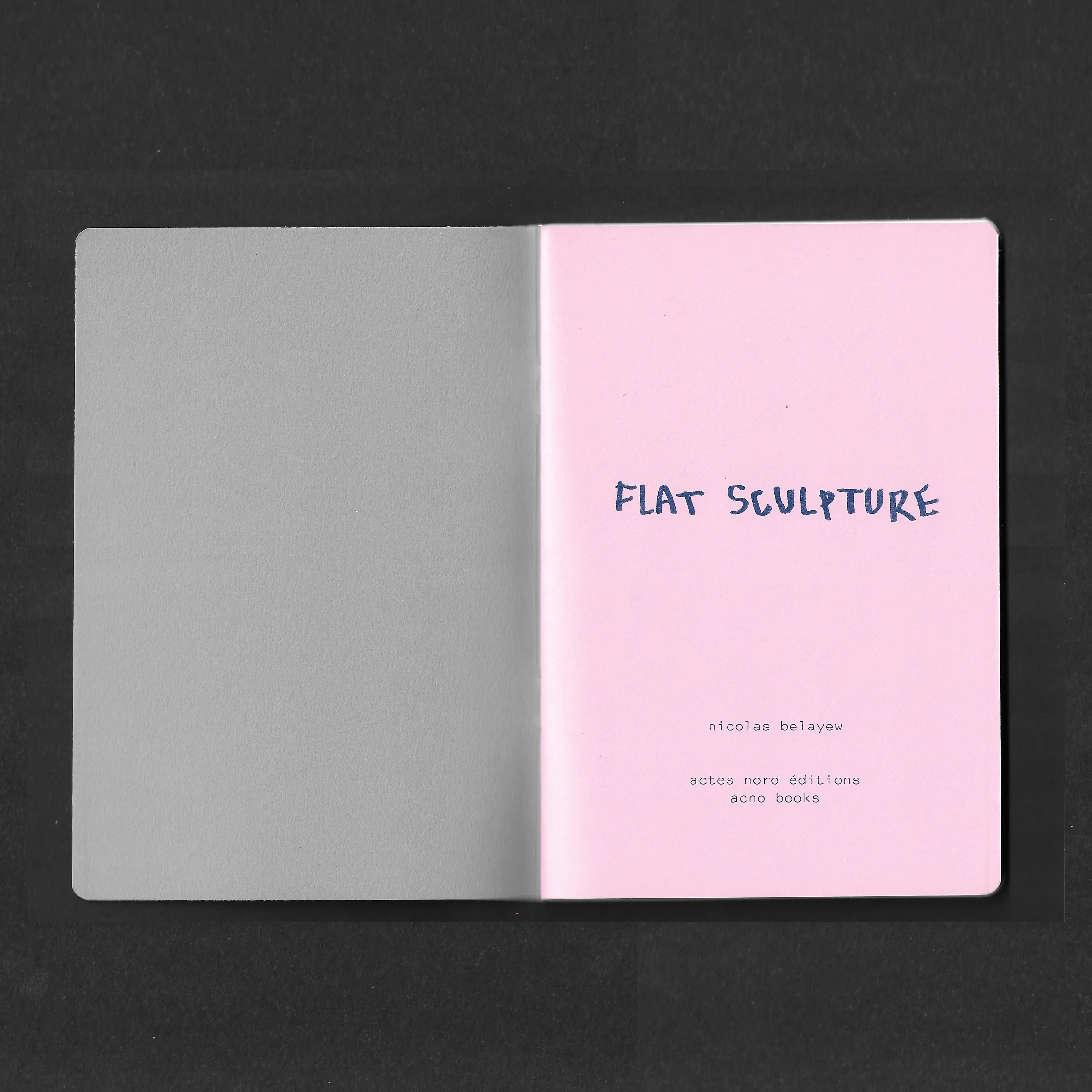 "Flat sculpture" - Nicolas Belayew – Image 8