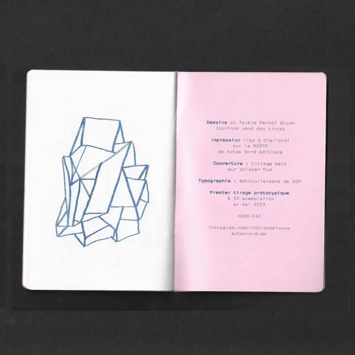 "Flat sculpture" - Nicolas Belayew – Image 2