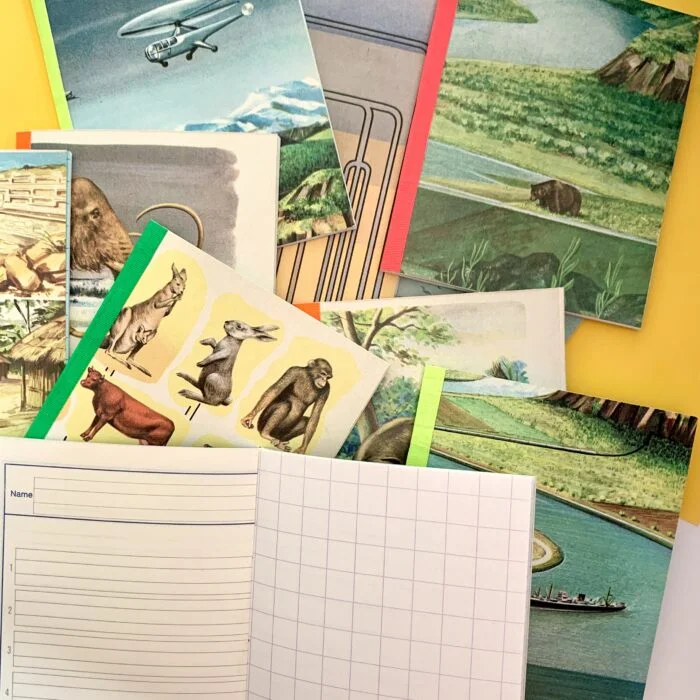 Carnet L'aventure de la terre