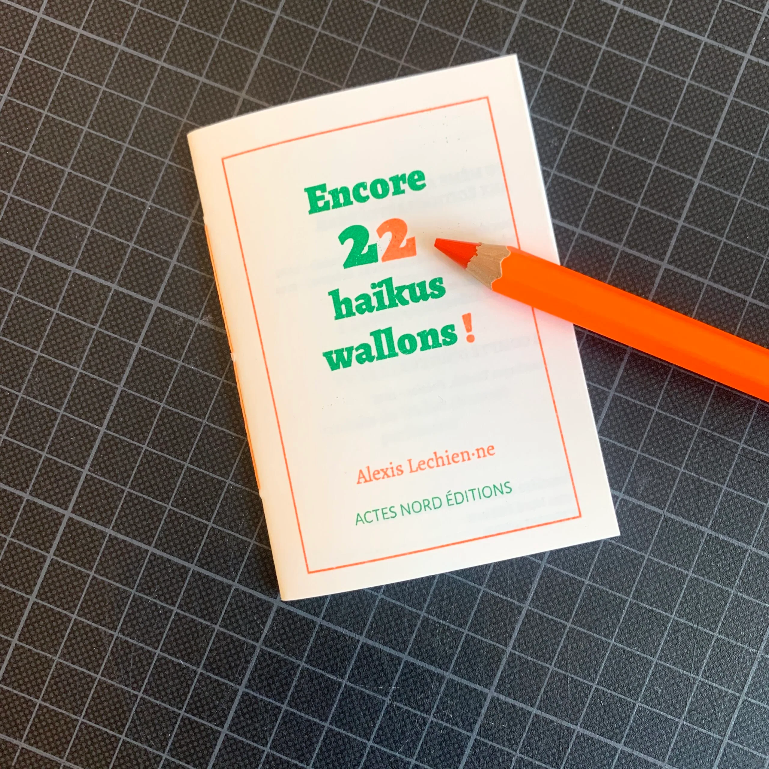 Encore 22 haïkus wallons ! Alexis Lechien·ne