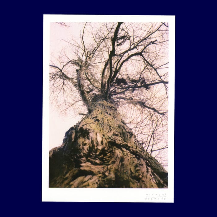 Nicolas Belayew - Poster Arbre