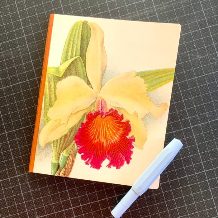 Carnet Orchidées